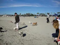 DSC00429.webp