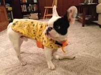 photo(2).webp