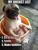 ImageUploadedByTapatalk1386369594.755411.webp