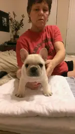 IMAG1727.webp
