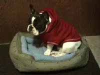 Sportin'MyHoodie_12.5.2013.webp