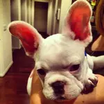 photo 2.webp