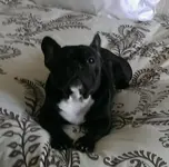 Roo12Mo.webp Roo12Mo.webp