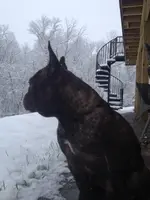Snow play 12.10.13 006.webp