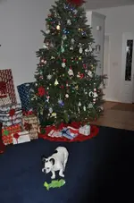 DSC_0720-1.webp