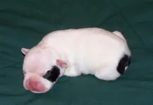000_0746.webp