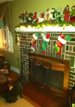 photo-29.webp