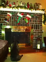 photo-31.webp