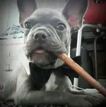 uploadfromtaptalk1388109115085.webp