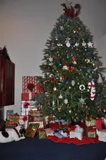 The Tree.webp