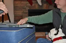 Watching the Backgammon game.webp
