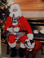 Ruggles & Buster With Santa 2013 001.webp