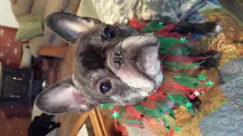 20131224_141934.webp