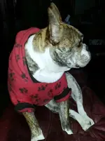 20140111_160045_resized.webp