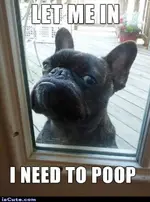 ic_8a7feebecfbe8b9c3f28bbf753ce9bec.webp