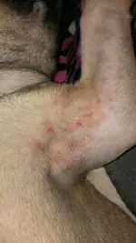 IMAG0639.webp IMAG0639.webp