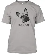 front.webp