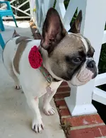 20181008_164837.webp 20181008_164837.webp