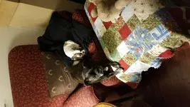hc_1540944657757.webp