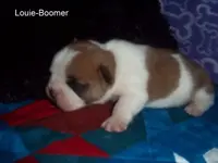 Baby Boomer 7.webp