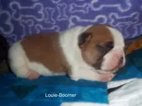 Baby Boomer 9.webp