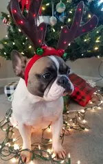 20181206_092002.webp
