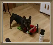 20181214_202934 (1).webp