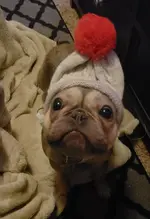 Joe with stocking cap.webp
