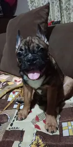 IMG20190224184459.webp
