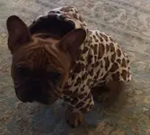 Jake in Hoodie.webp