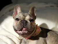 Big smile.webp