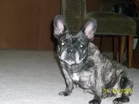100_1292.webp