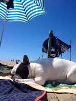 korabeach4.webp korabeach4.webp