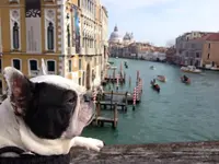 venice.webp venice.webp