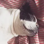 old gal 2.webp