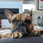Wilma.webp