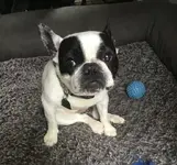 fiona.webp
