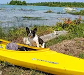 IMG_20190728_213632_679.webp IMG_20190728_213632_679.webp