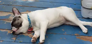 20190801_140109.webp