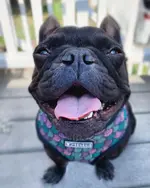 UULV8920.webp UULV8920.webp