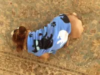 Jake with glasses shirt.webp
