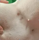 Screen Shot 2019-09-22 at 9.05.10 PM.webp
