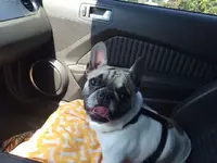 title.webp