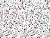 736A1A0C-1AEA-4869-ACDE-3AE4ABE464DA.webp