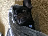 IMG_0311.webp IMG_0311.webp