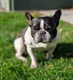 00100dPORTRAIT_00100_BURST20191123113213122_COVER.webp 00100dPORTRAIT_00100_BURST20191123113213122_COVER.webp