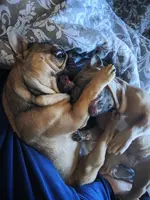 30DA5A58-998E-4053-9626-741543FEEEBC.webp 30DA5A58-998E-4053-9626-741543FEEEBC.webp