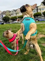 23234330-2F88-4BB7-A5E2-5123A84DB0E0.webp