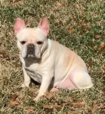 Hazel 1-14-19.webp