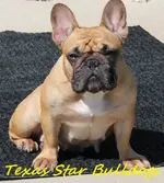 JLO sunning.webp